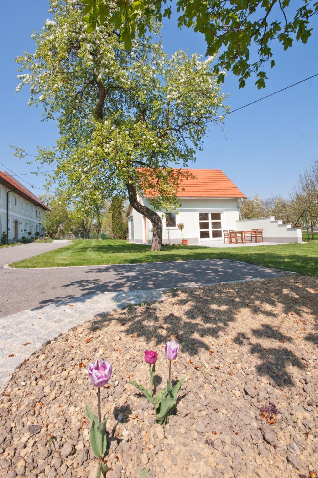 Landhaus Essl Dietach Exterior photo